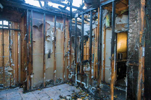 Professional Odor Removal technician working in Waterloo, IN